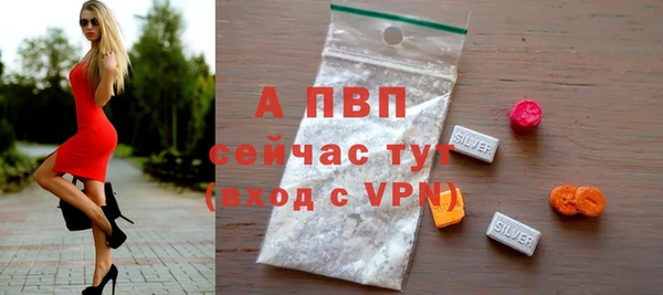 индика Верея