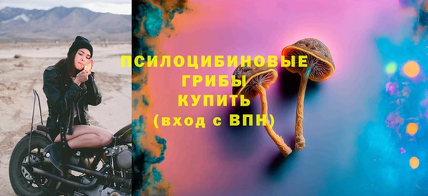 индика Верея