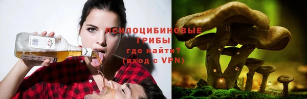 индика Верея
