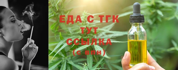 шишки Бородино