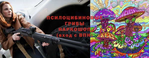 индика Верея
