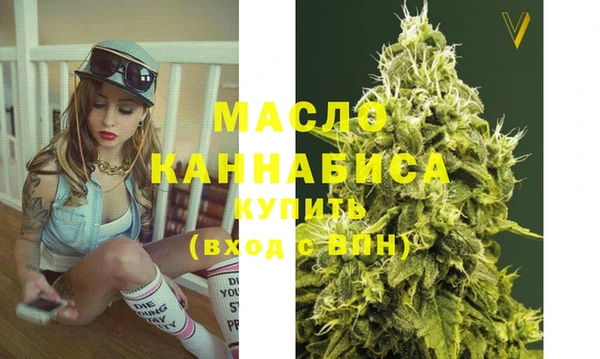 индика Верея
