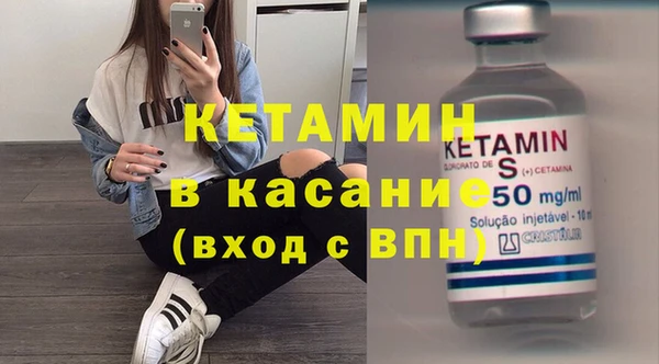 прущие грибы Туринск